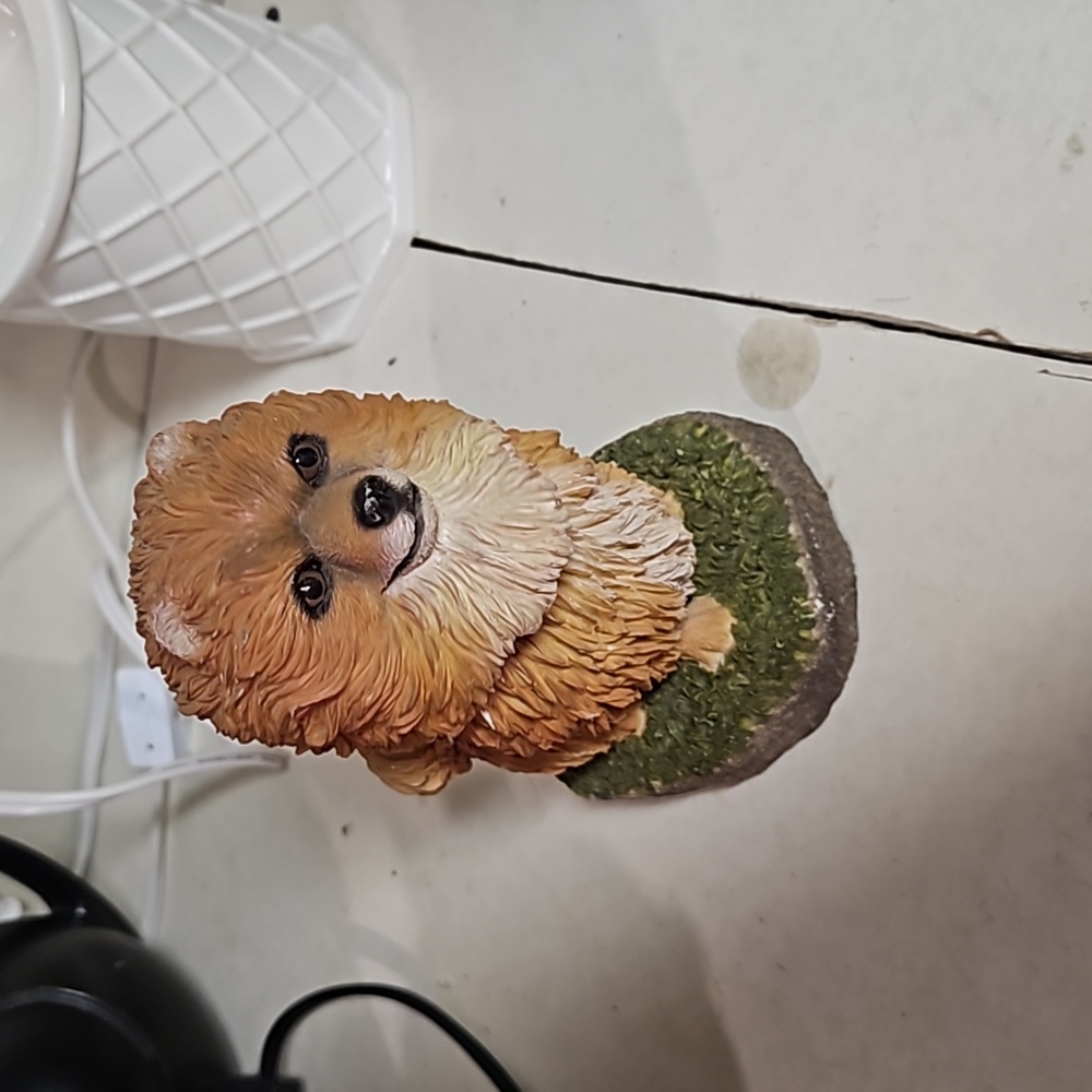 Swibco Pomeranian 2002 Bobble head 7”T Resin, cambin